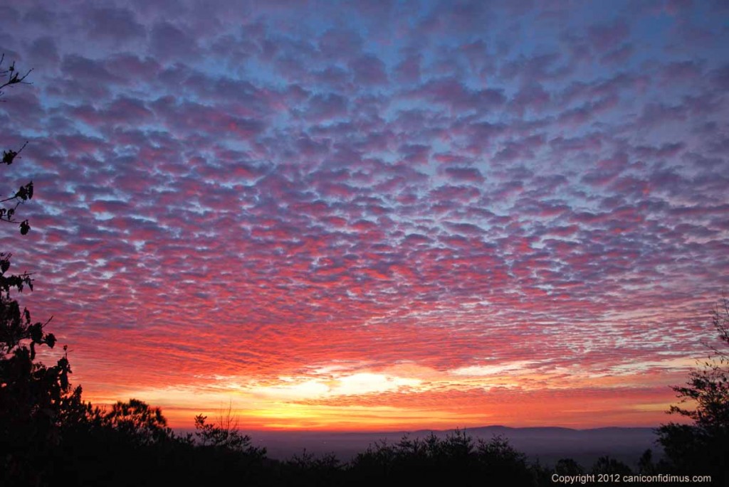 Sunrise from the deck