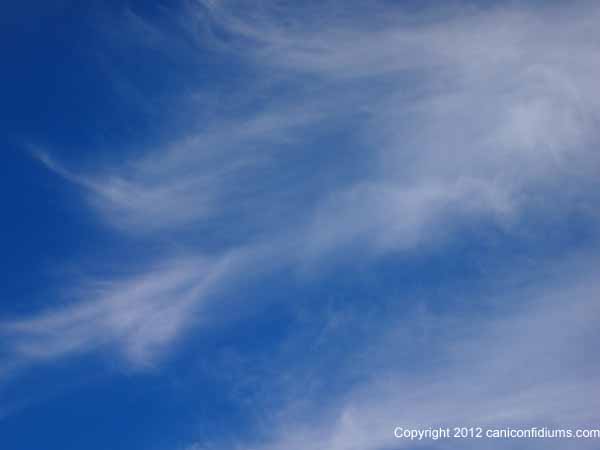 Cirrus clouds over the mountain