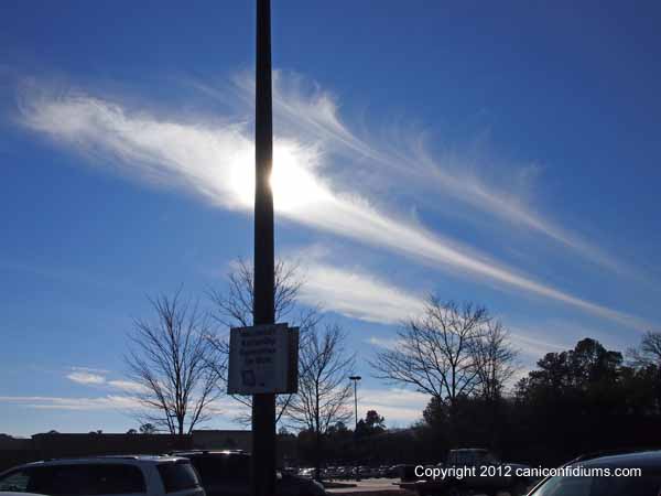 Mare's tail, or drifting, falling ice crystals