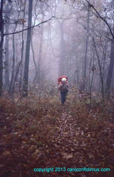 On the trail