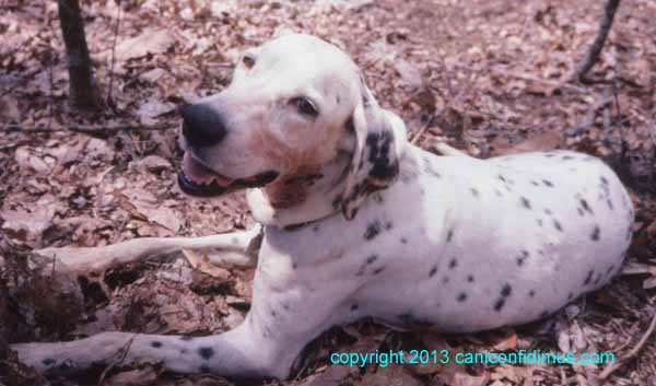 Jesse, recovering, with blood from her ear