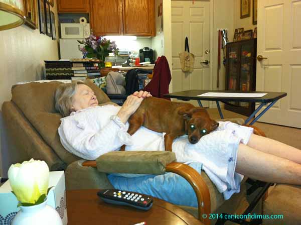 lucy on my mother