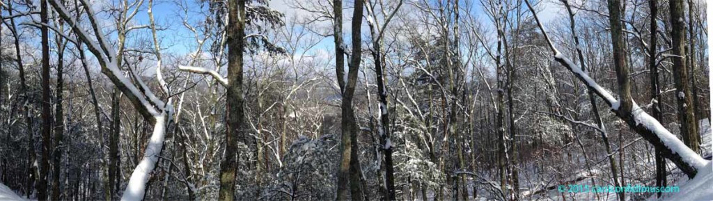 snow panorama