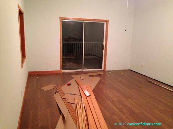 downstairsbedroom