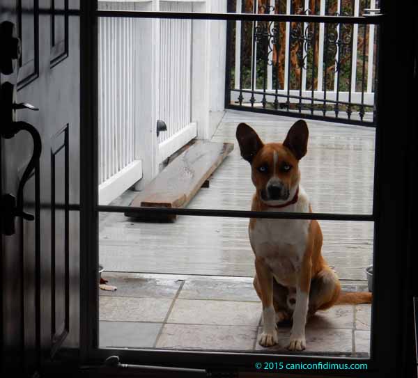 sam at the door