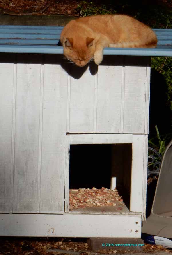 Rusty on her house